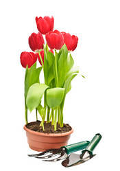 Similar image 1312955