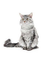 Similar image 1312956