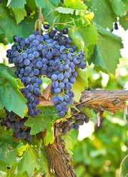 Similar image 1312957