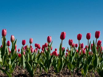 Similar image 1312960