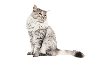 Similar image 1312961