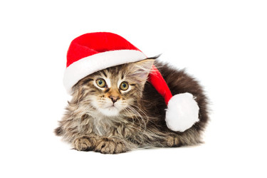 Similar image 1312964