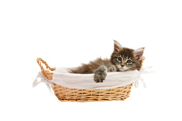 Similar image 1312966