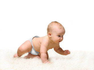 Similar image 1313000