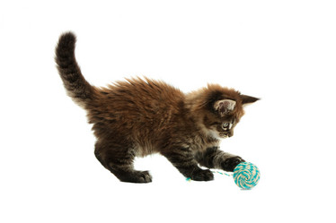 Similar image 1313006