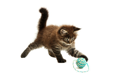 Similar image 1313007