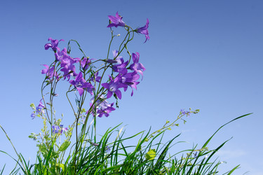 Similar image 1313010