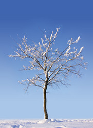 Similar image 1313013