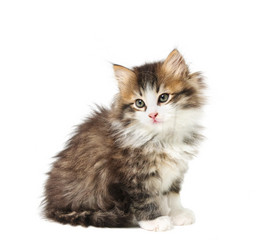 Similar image 1313014