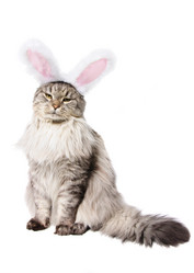 Similar image 1313015