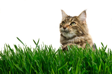 Similar image 1313018