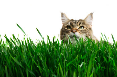 Similar image 1313019