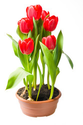 Similar image 1313020