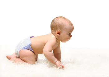 Similar image 1313021