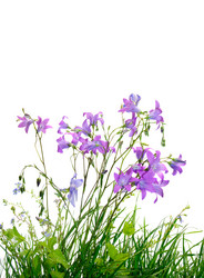 Similar image 1313022