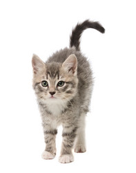 Similar image 1313024