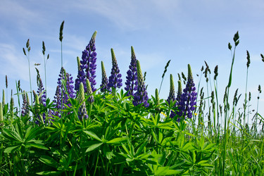 Similar image 1313031