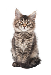 Similar image 1313039