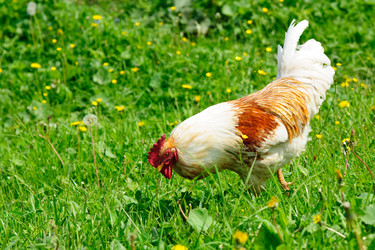 Similar image 1313042