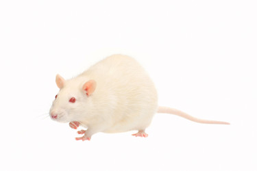 Similar image 1313043