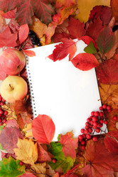 Similar image 1313044