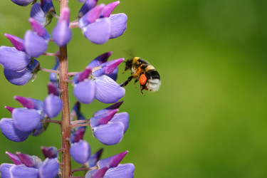 Similar image 1313047