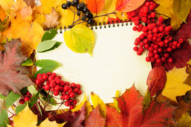 Similar image 1313052