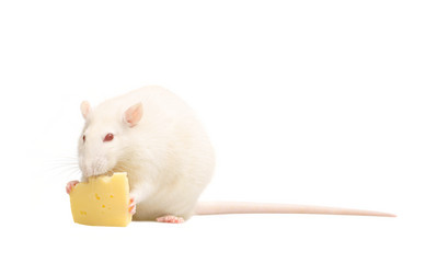 Similar image 1313054