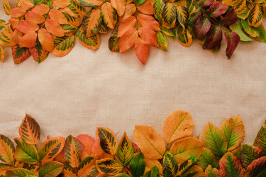 Similar image 1313058