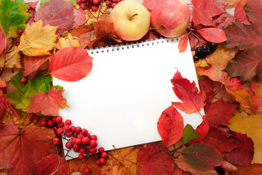 Similar image 1313061