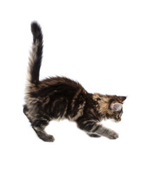 Similar image 1313062