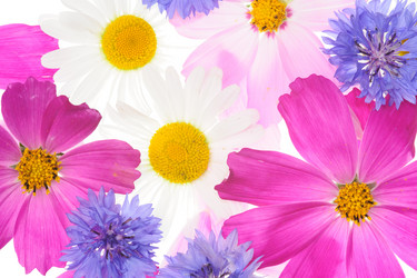 Similar image 1313064