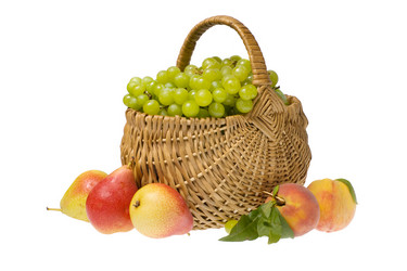 Similar image 1313065