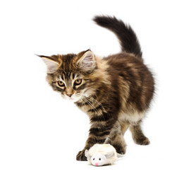 Similar image 1313068