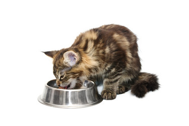 Similar image 1313070