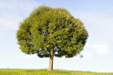 Similar image 1313072