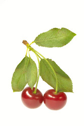 Similar image 1313077