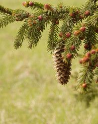 Similar image 1313079