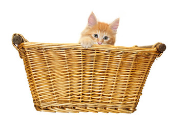 Similar image 1313082