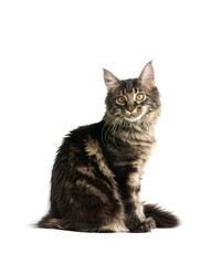 Similar image 1313085