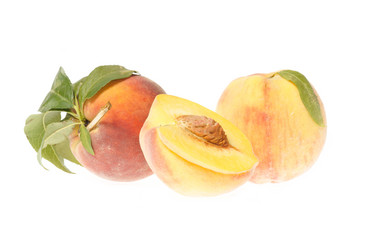 Similar image 1313086