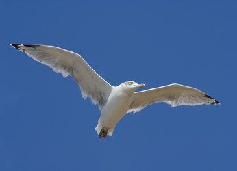 Similar image 1313097