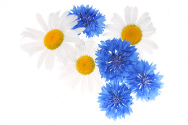 Similar image 1313104