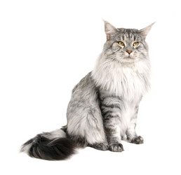 Similar image 1313106