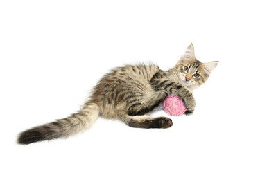 Similar image 1313107