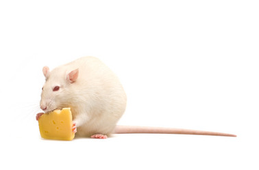 Similar image 1313109