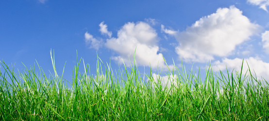 Similar image 1313110