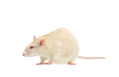 Similar image 1313111