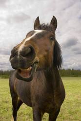 Similar image 1313113