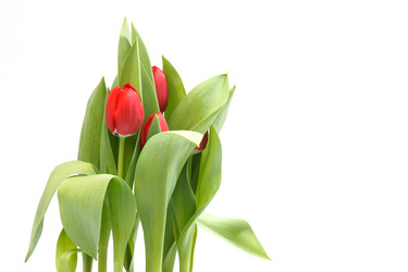 Similar image 1313118